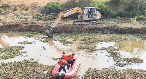 干群合力清河道 水清岸绿保安全&mdash;&mdash;江西安远天心镇开展水葫芦集中清理行动