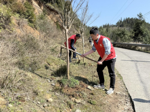 湖南洞口县渣坪乡：精心管护促成长&nbsp;&nbsp;修枝施肥添生机