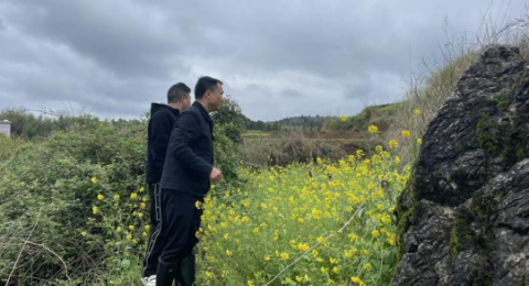 湖南武冈市秦桥镇扎实开展禁种铲毒踏查行动筑牢无毒防护屏障