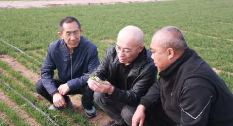 河北乐亭丨奏响&ldquo;三部曲&rdquo;绘就&ldquo;春耕图&rdquo;