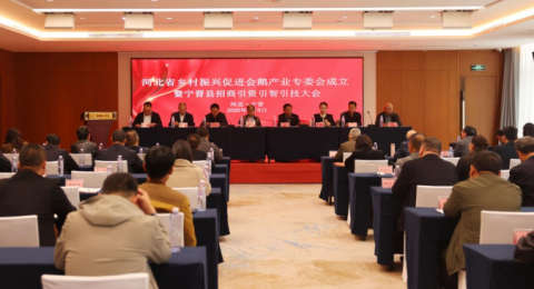 河北省乡村振兴促进会鹅产业专委会在宁晋成立