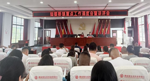聚焦重点强部署，狠抓作风促落实&mdash;&mdash;湖南邵东市仙槎桥镇召开重点工作调度会暨讲评会