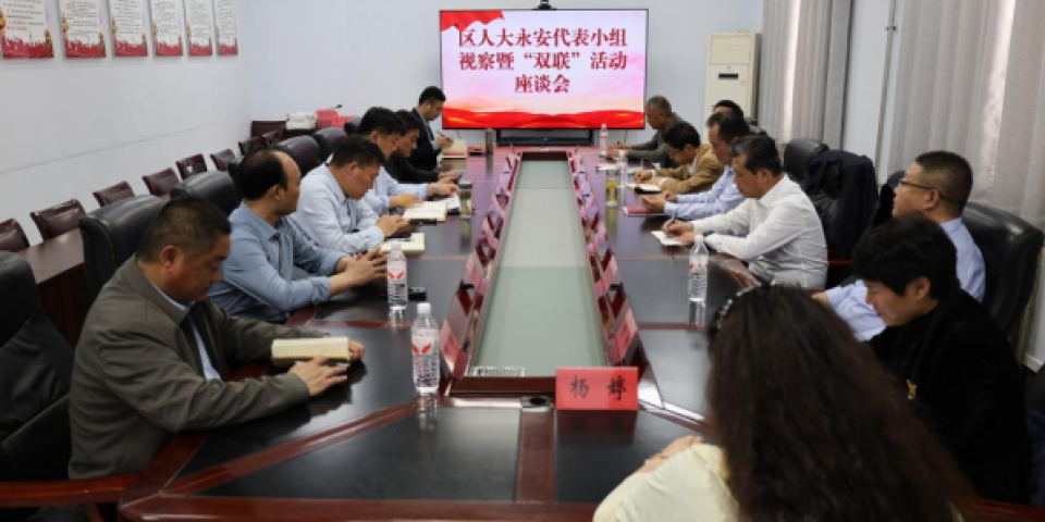 枣庄市中区人大永安镇代表小组开展视察暨&ldquo;双联&rdquo;活动