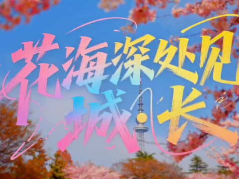 花海市南，漫享春光