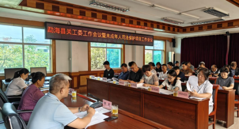 云南勐海县召开全县关工委工作会议暨未成年人司法保护项目工作会议