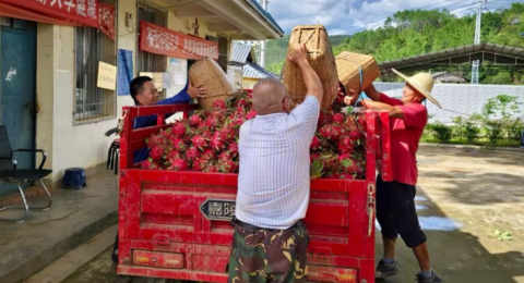 云南景洪贺孔村：水甜了、业兴了、心暖了！这支工作队&ldquo;驻&rdquo;出振兴新气象