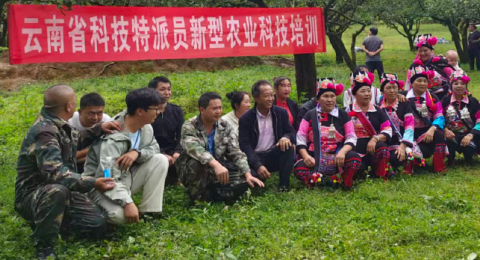 云南文山市：党建引领&ldquo;梨&rdquo;想路 山乡蝶变满目新
