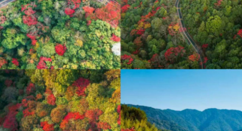 借势环鄱精品赛事 赋能三百山文旅融合高质量发展