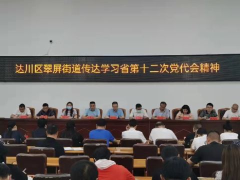 四川达川区翠屏街道传达学习贯彻省第十二次党代会精神