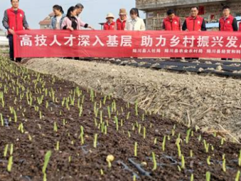 广西陆川县开展科技人才到乡村助力乡村振兴活动