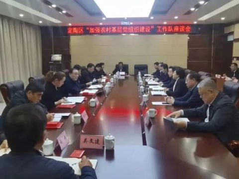 山东菏泽市定陶区召开“加强农村基层党组织建设”工作队座谈会